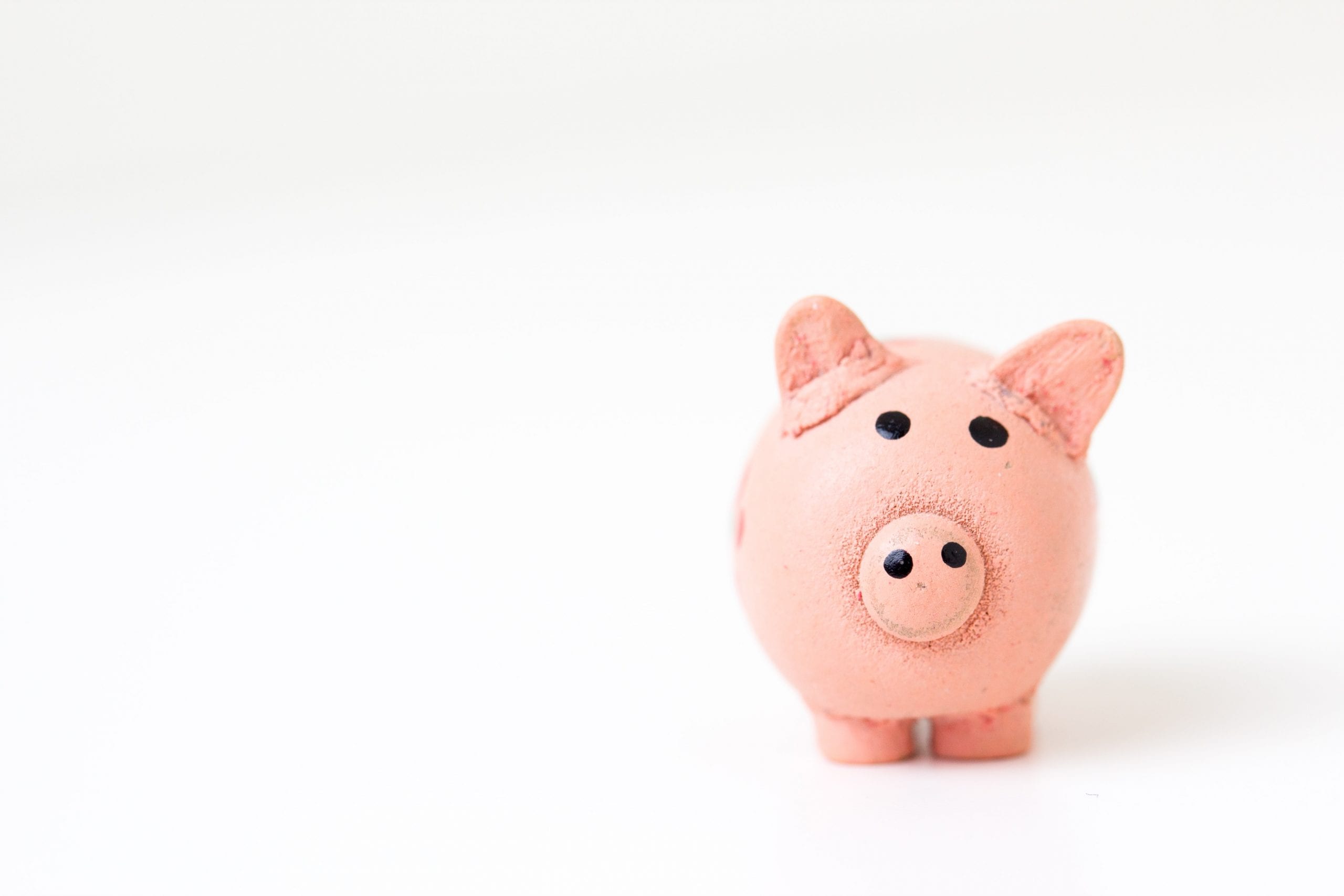 budget tirelire cochon